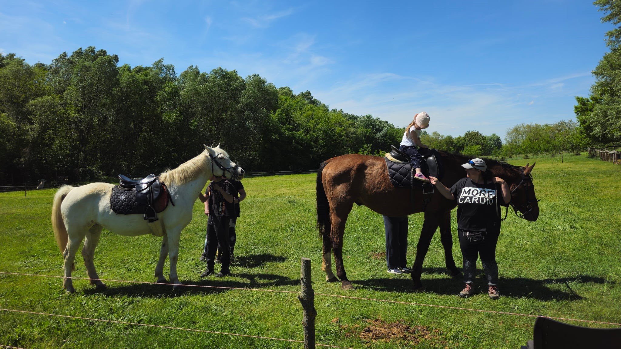 KOVER_RANCH_https://ranch.koever.hu/